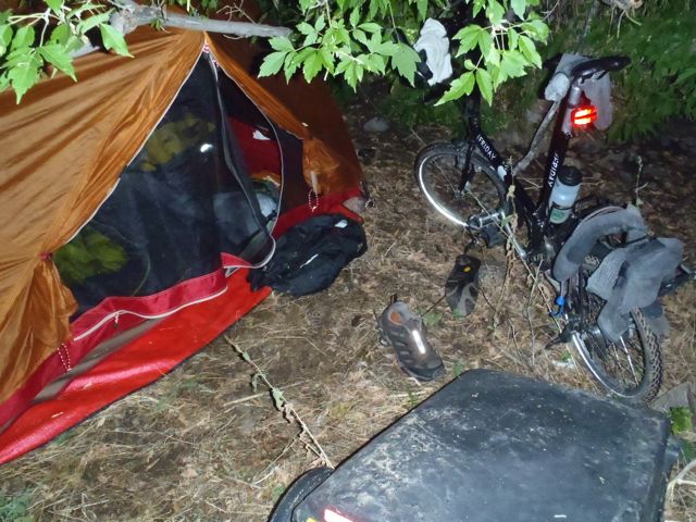 Campsite in tree, White Ranch Open Space, near Golden CO