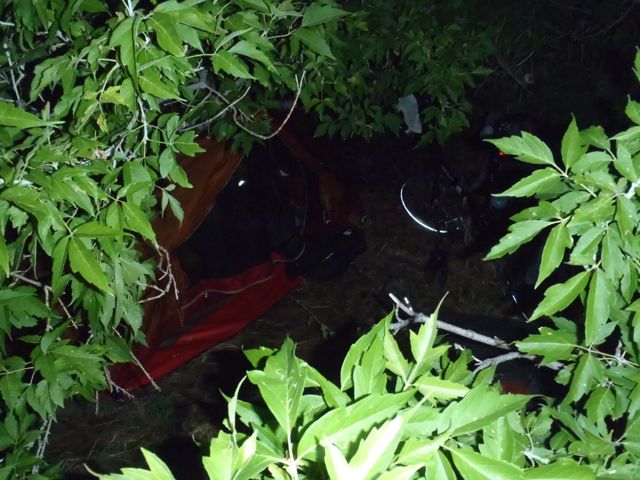 Campsite in tree, White Ranch Open Space, near Golden CO