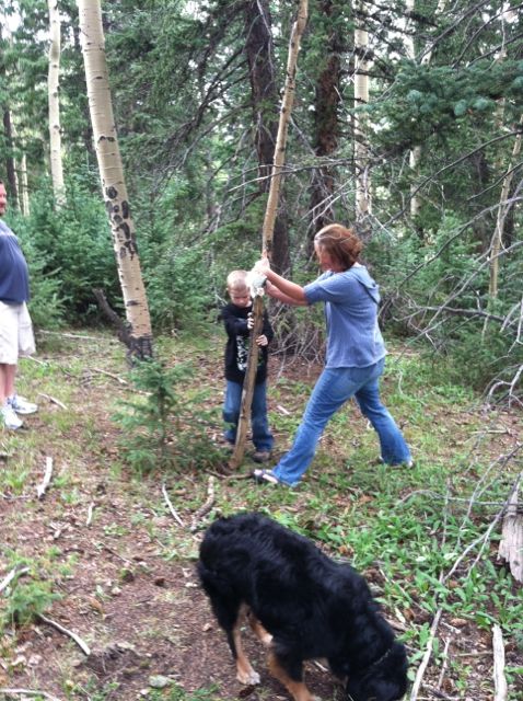 Carol and Spencer bringing down a dead Aspen tree