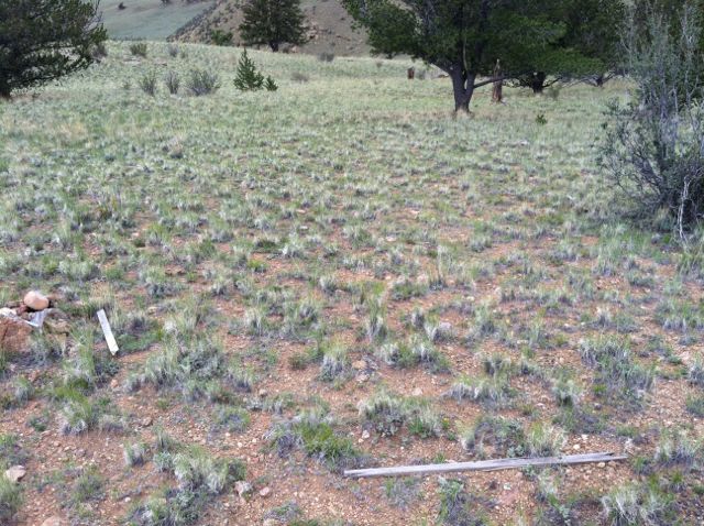 Property, Pike-San Isabel Village