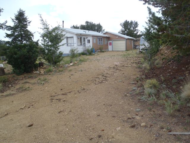 Constancio cabin, Pike-San Isabel Village