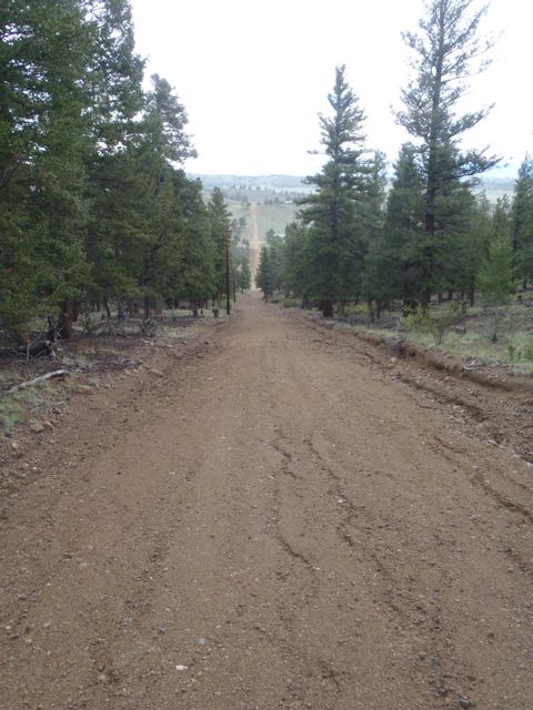 Road from property, Pike-San Isabel Village