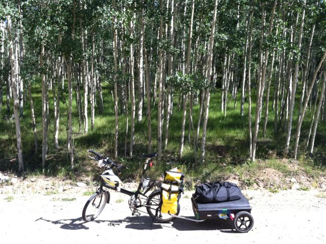 Aspens, road to Mosquito Pass